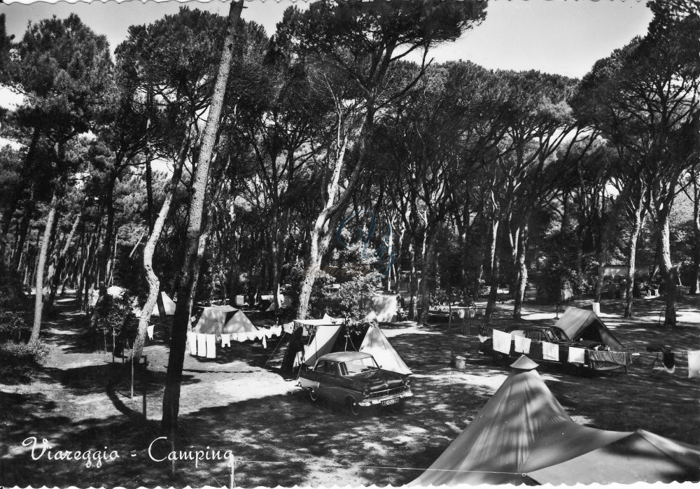 Camping Viareggio Anni '50