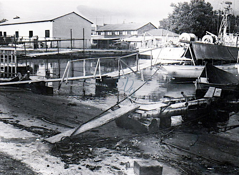 Cantieri Picchiotti Viareggio Anni '50