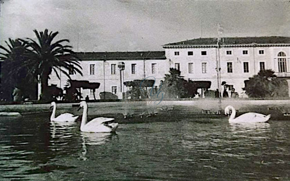 Cigni Viareggio Anni '50