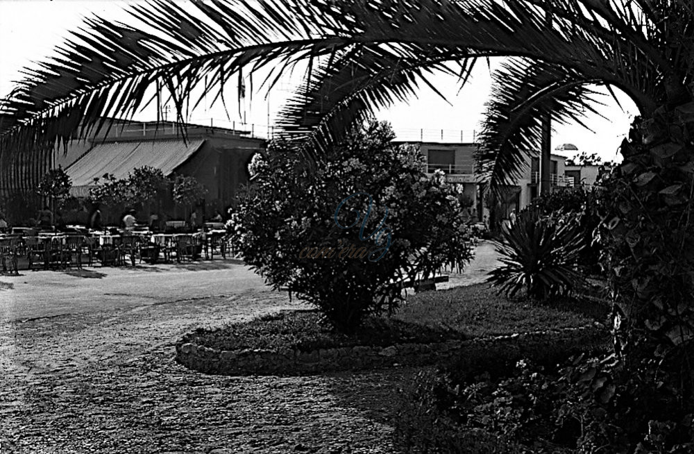 Giardini Viareggio Anni '50