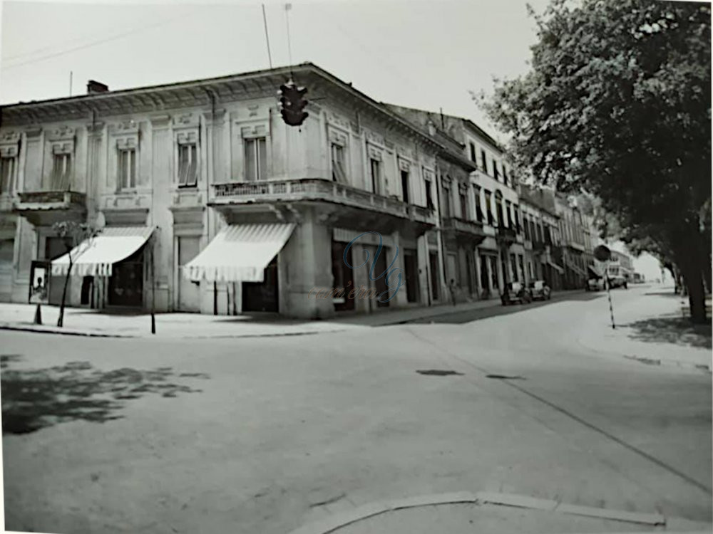 Merceria Bemi Viareggio Anni '50