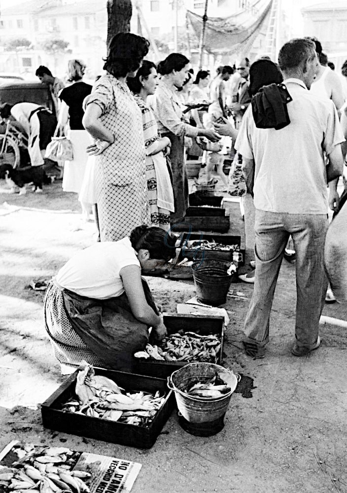 Muccigna Viareggio Anni '50