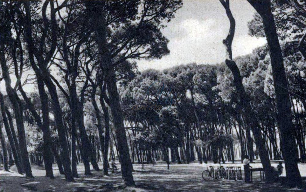 Noleggi bici Viareggio Anni '50