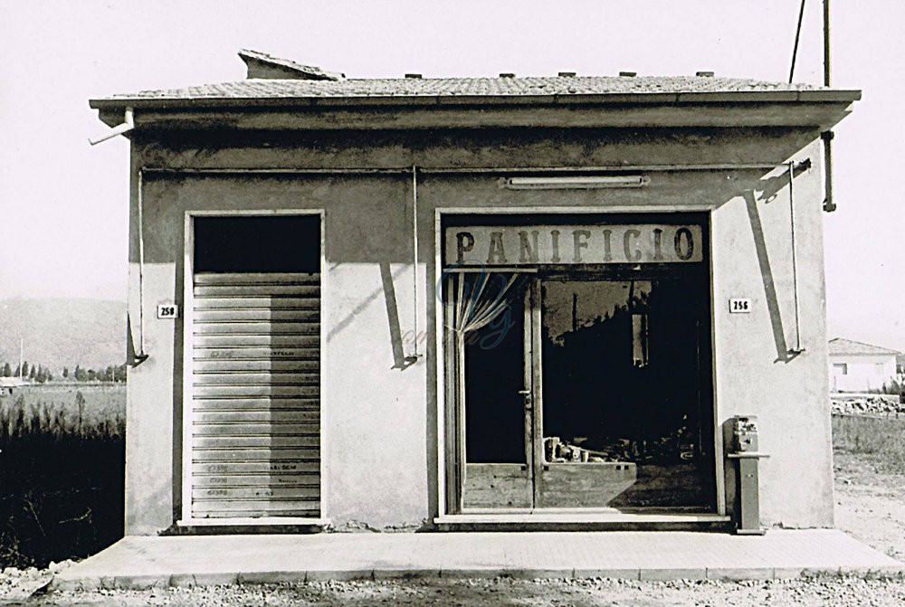 Panificio Viareggio Anni '50