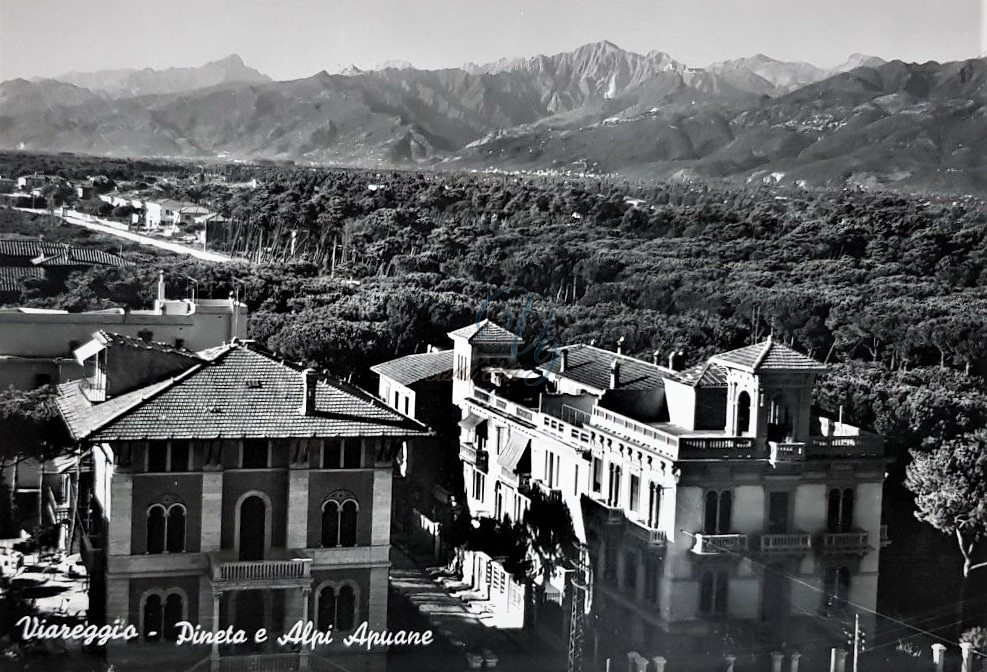 Panoramica su città giardino Viareggio Anni '50