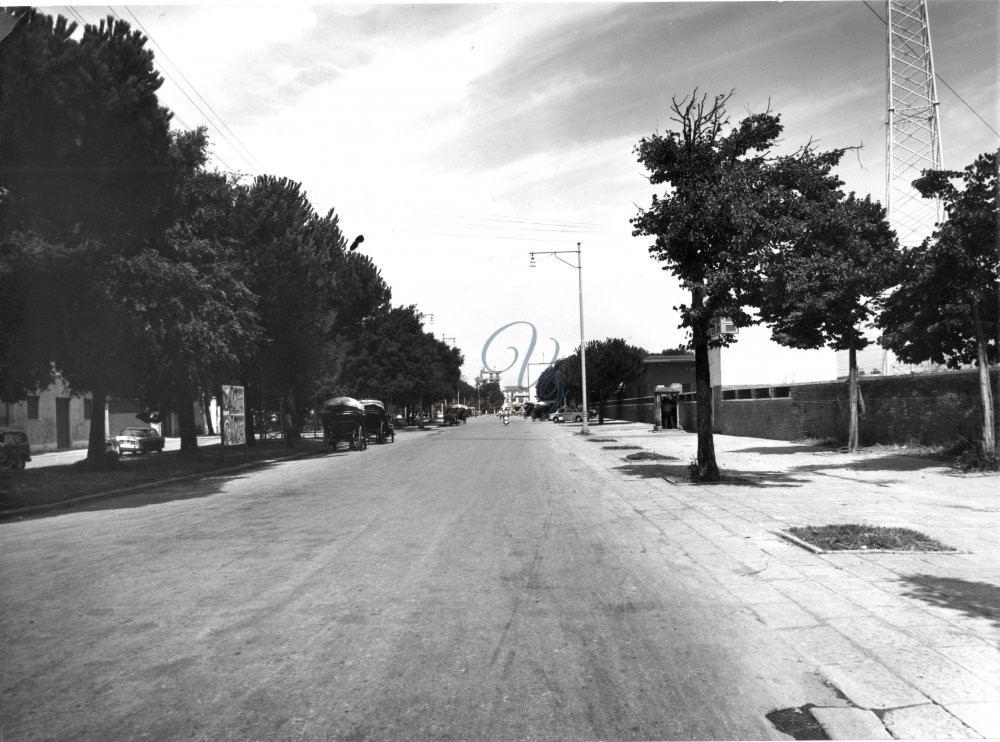 Piazza Dante Viareggio Anni '50