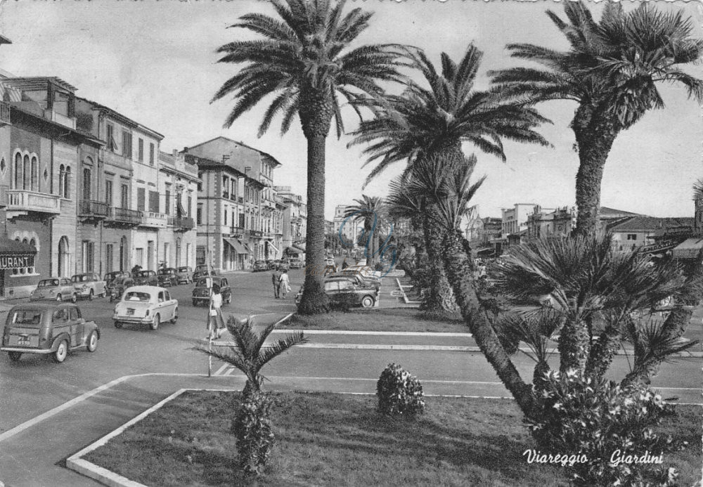 Viale a mare Viareggio Anni '50