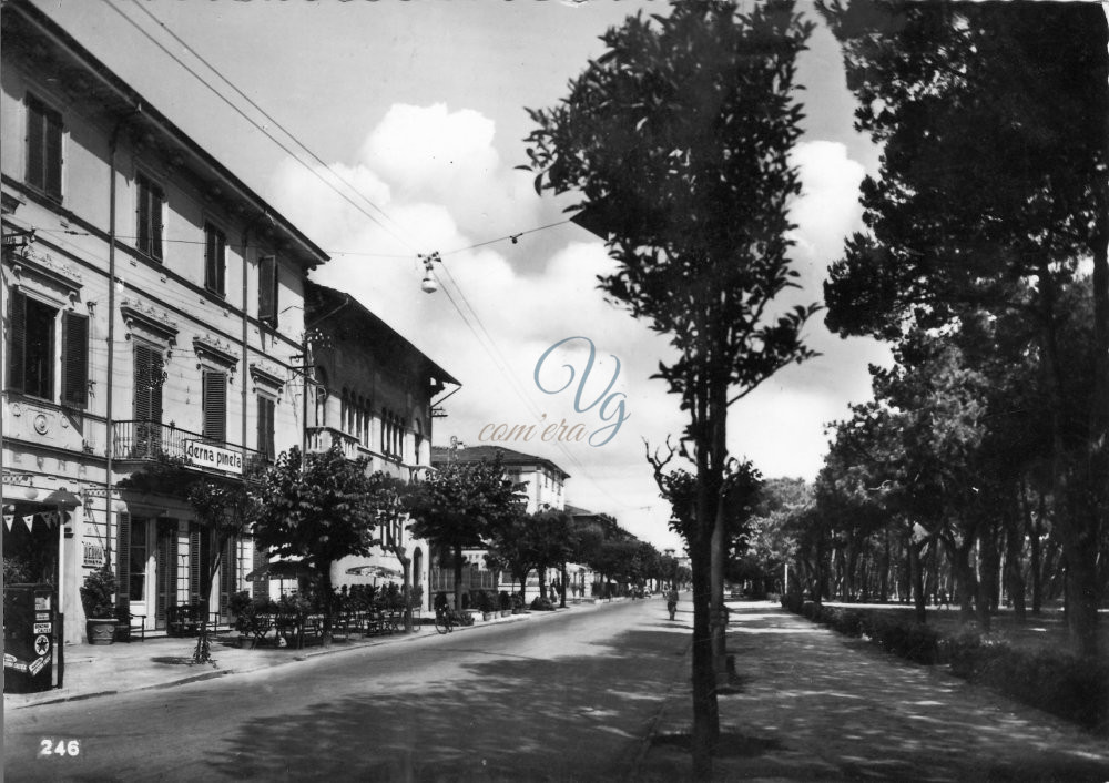 via Buonarroti Viareggio Anni '50