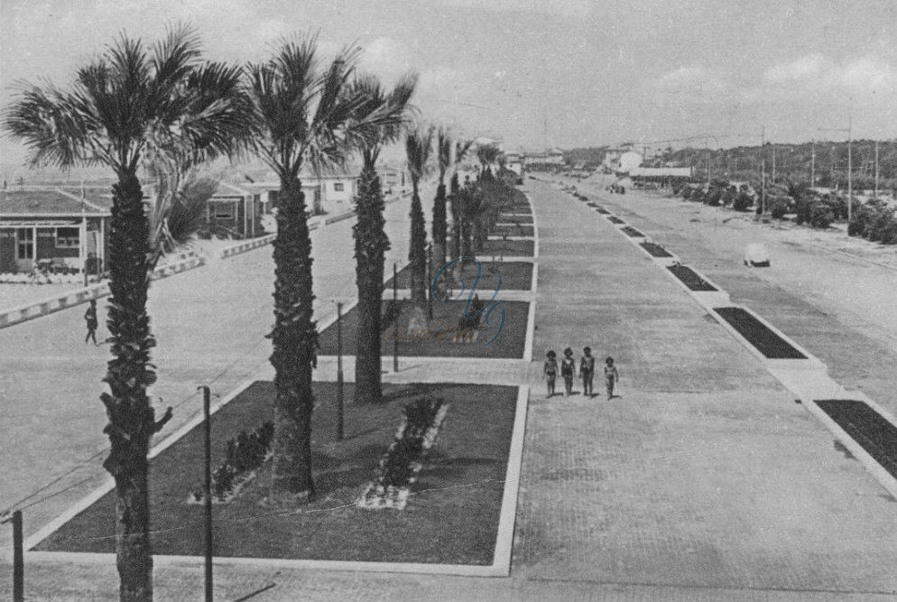 viale Costanzo Ciano Viareggio Anni '50