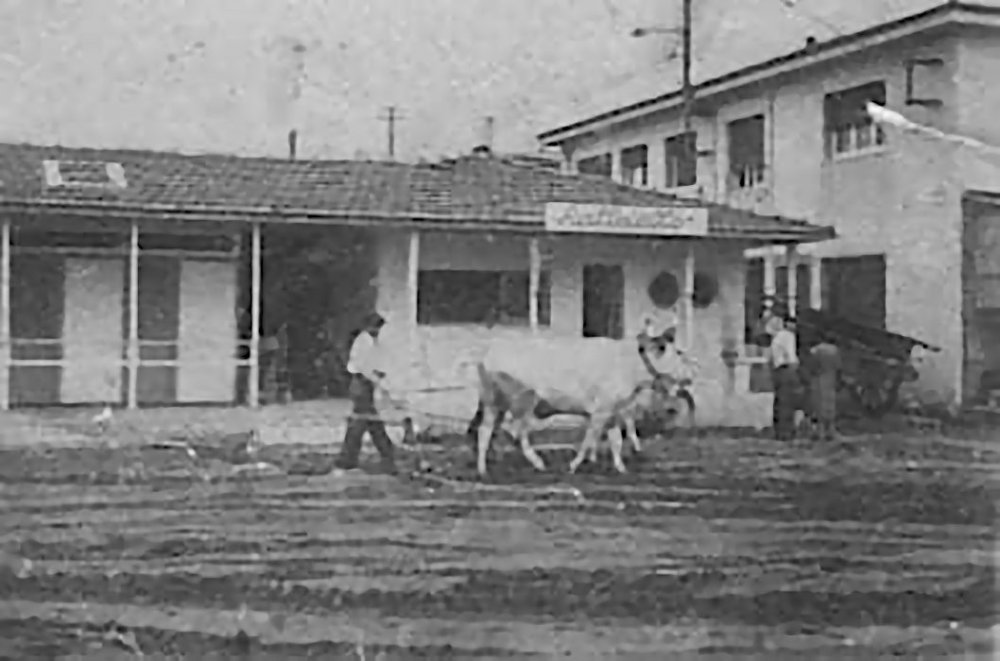 Bagno Raffaello Viareggio Anno 1953
