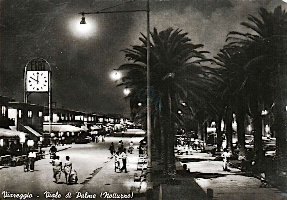Viale di Palme Viareggio Anno 1953