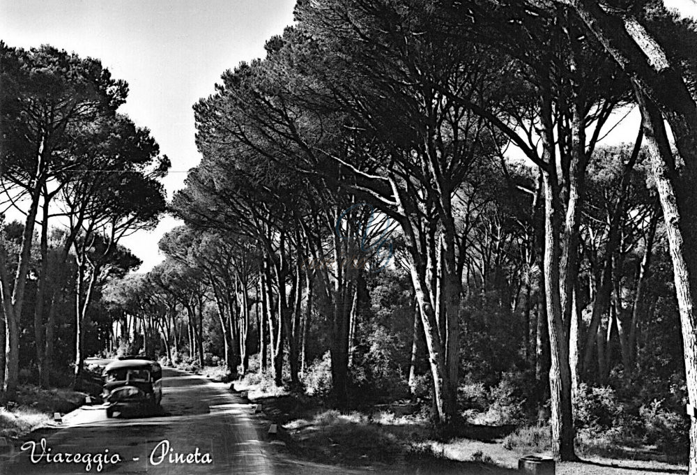 Via Aurelia Viareggio Anno 1954