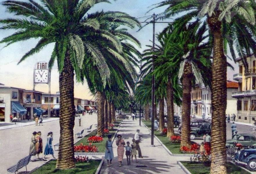 Viale delle Palme Viareggio Anno 1955