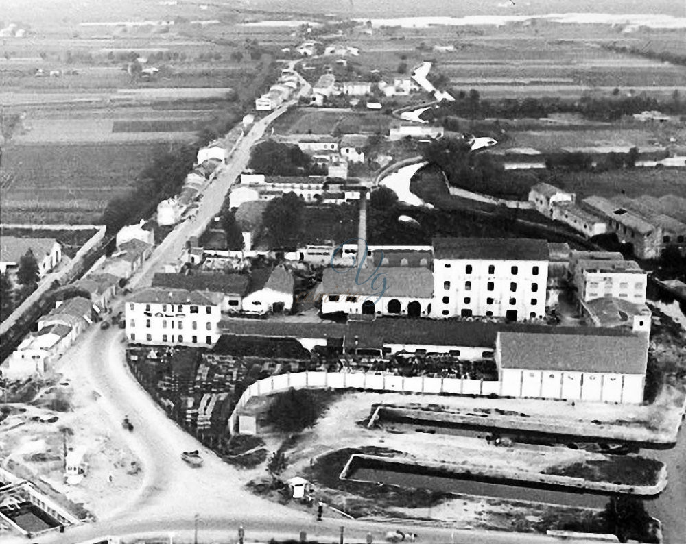 Salov Viareggio Anno 1956