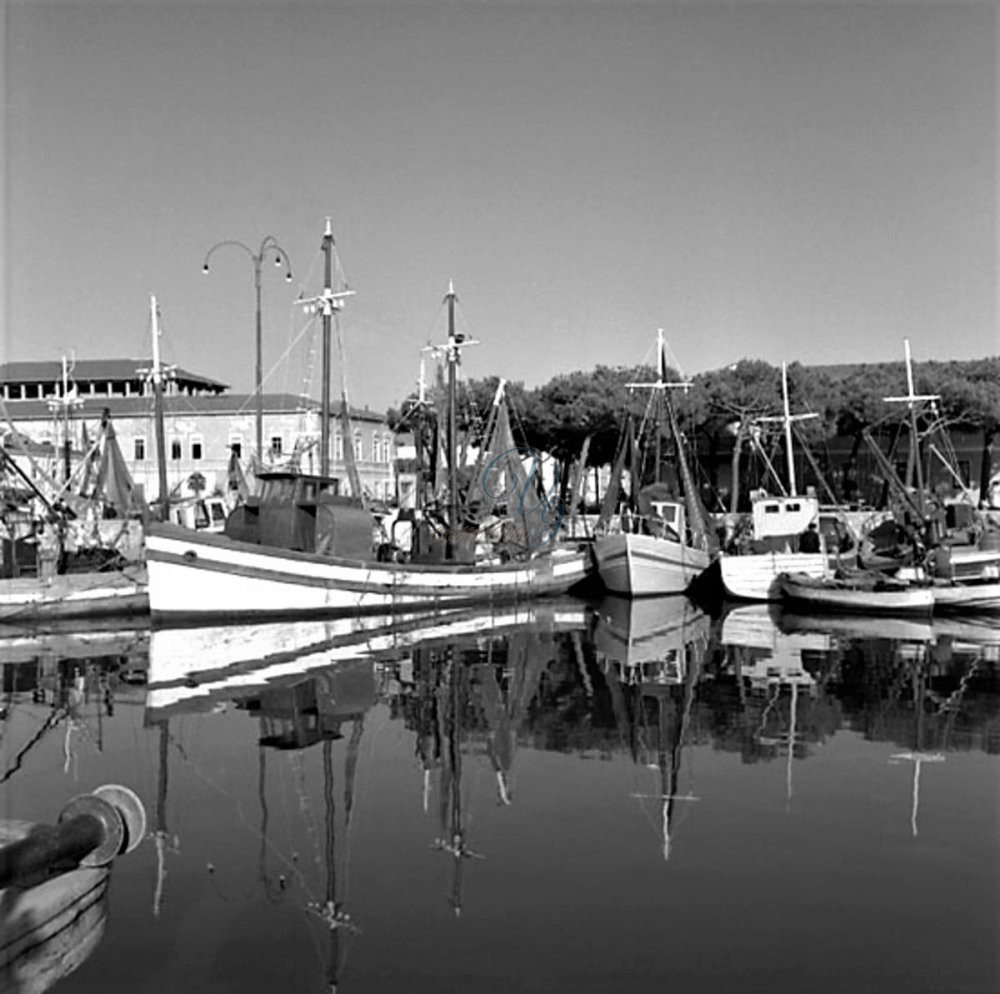 Moletto sanità Viareggio Anno 1959