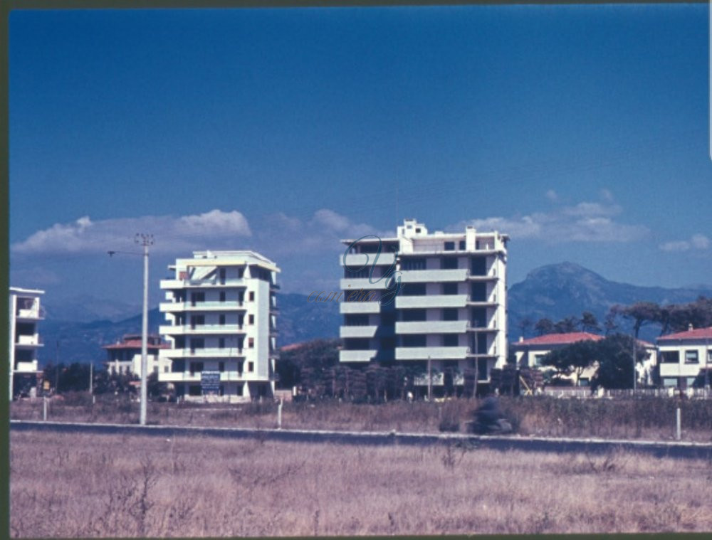 Arrivano i mostri Viareggio Anni '60