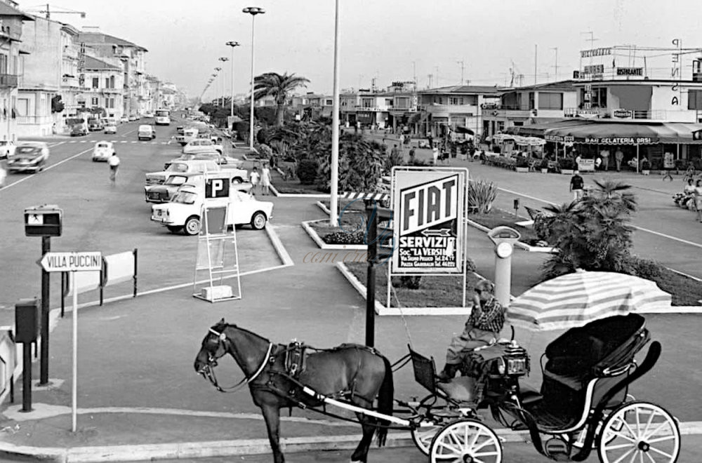 Cavallo e Carrozza Viareggio Anni '60