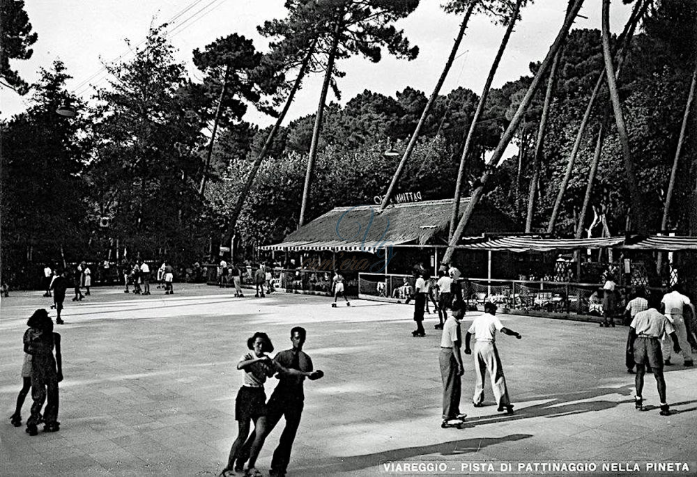 Il Pino sul Tetto Viareggio Anni '60