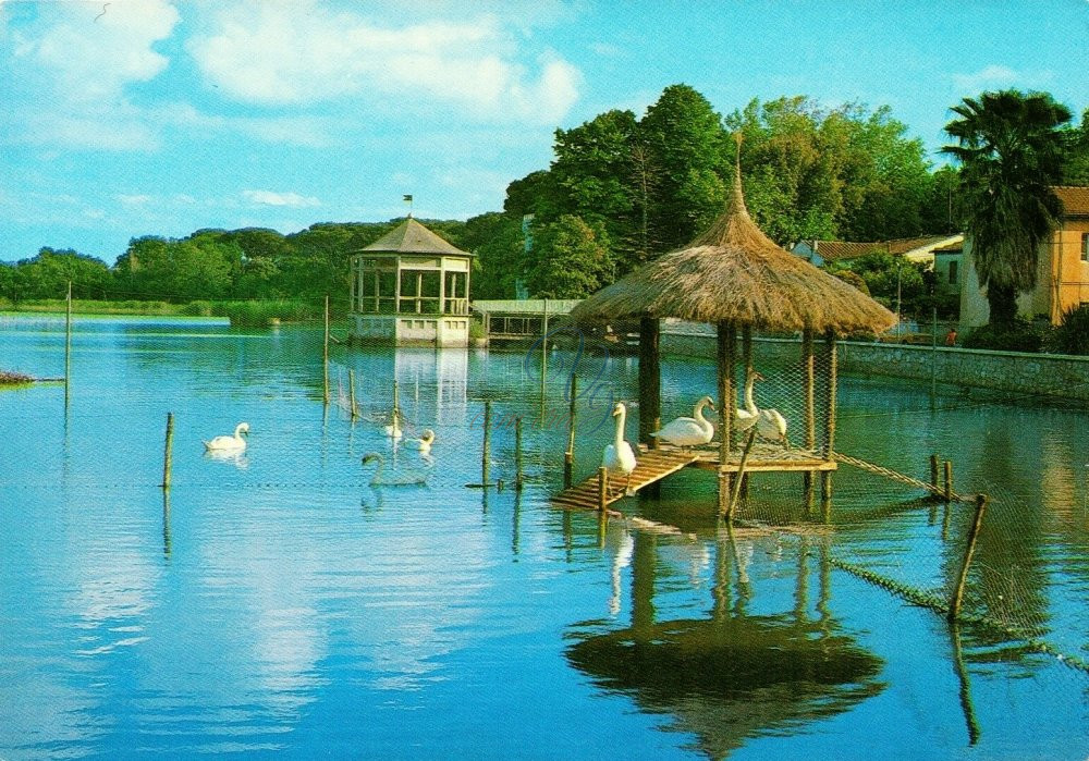 Il lago Viareggio Anni '60