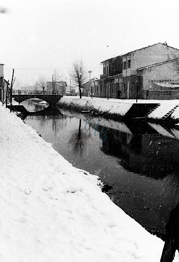 La Farabola Viareggio Anni '60