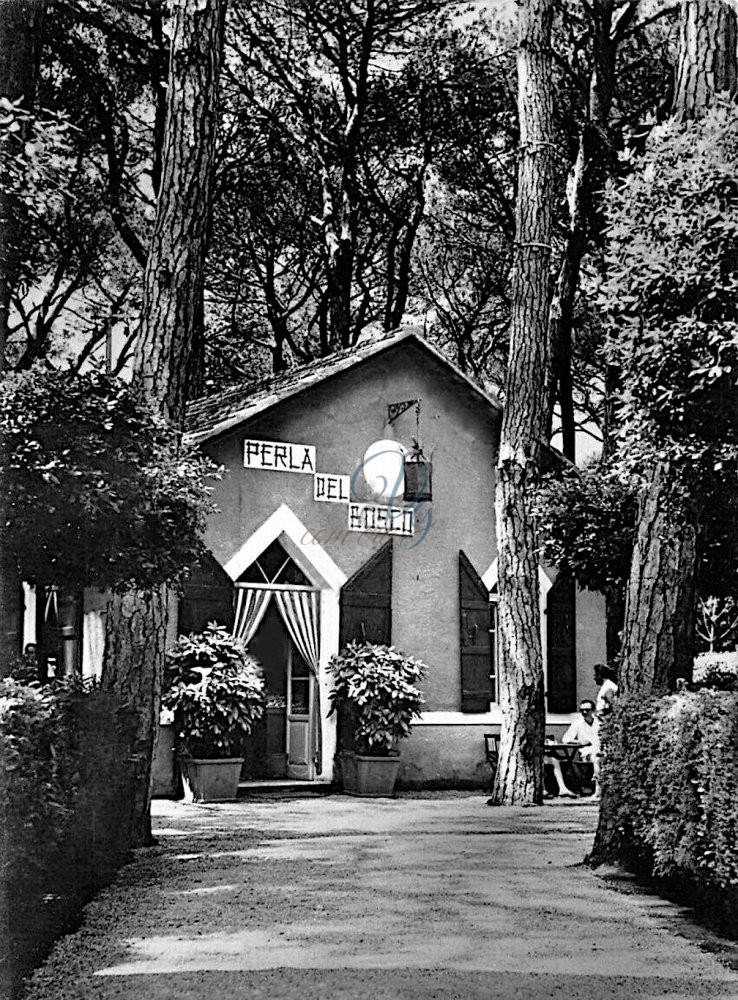 Perla del Bosco Viareggio Anni '60