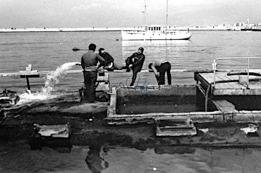 Pesca del novellame Viareggio Anni '60