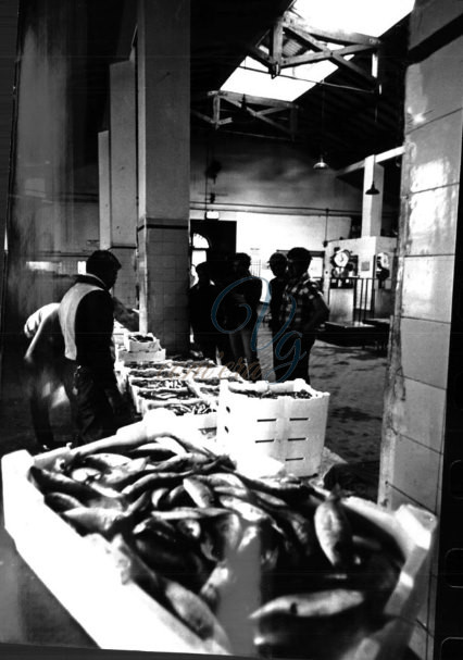 Vecchio mercato del Pesce Viareggio Anni '60