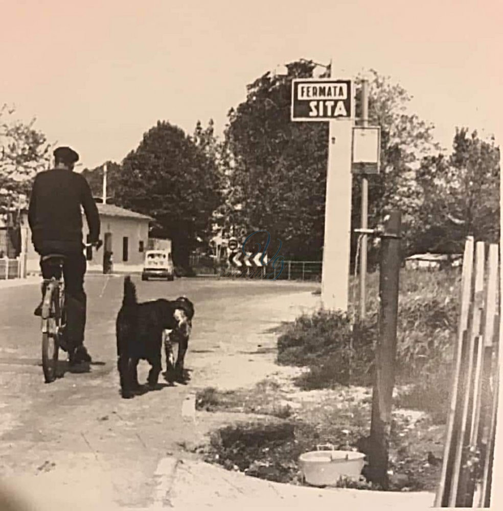 Via Paladini Viareggio Anni '60