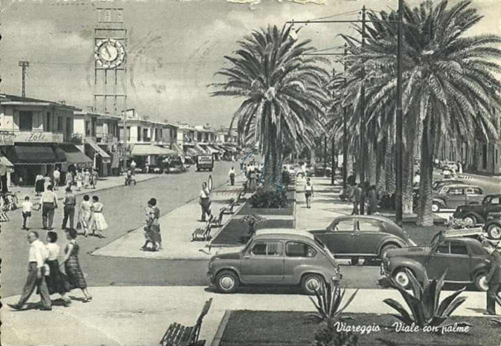 Viale con palme Viareggio Anni '60