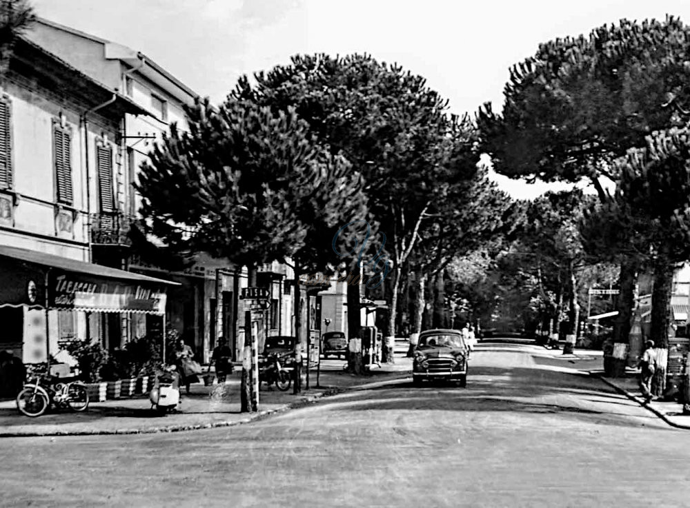 Viale dei Tigli Viareggio Anni '60