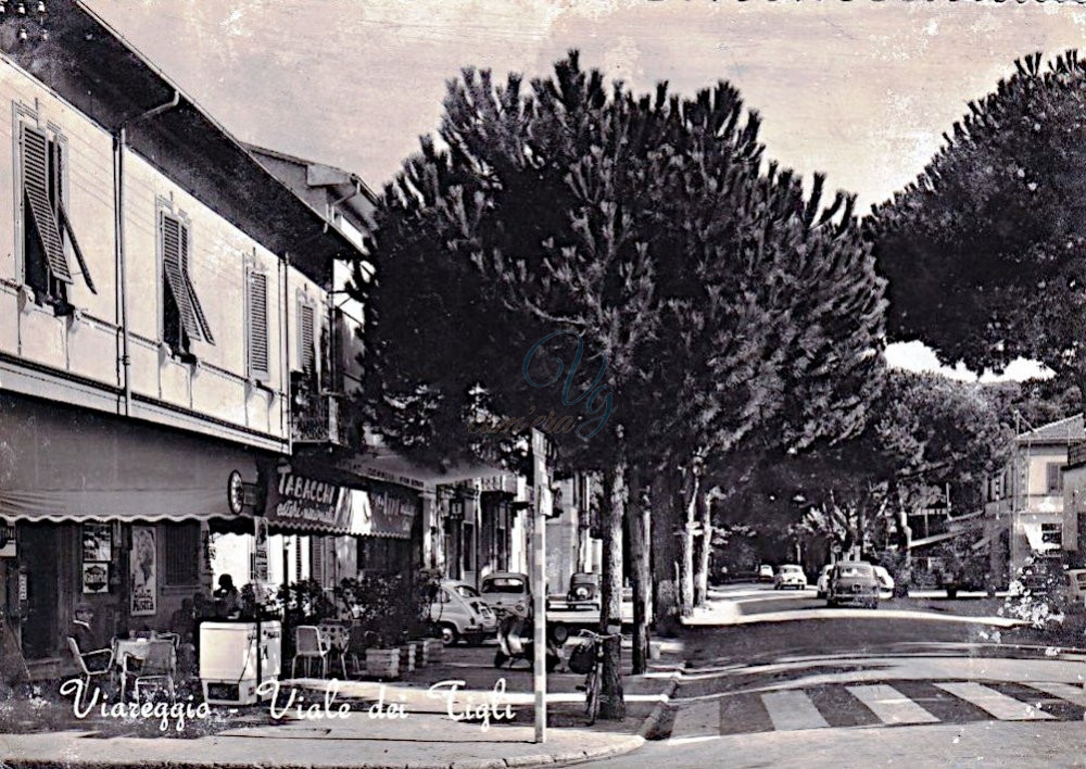 Viale dei Tigli Viareggio Anni '60