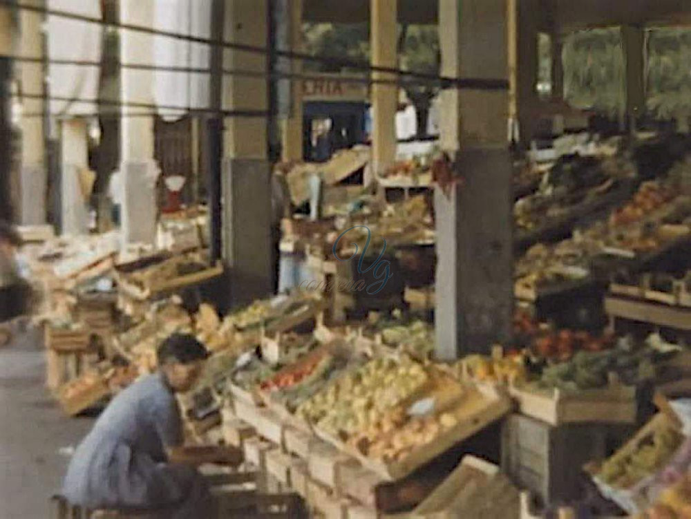 Logge del mercato Viareggio Anno 1961