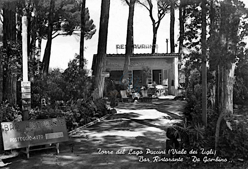 Ristorante Gambino Viareggio Anno 1961