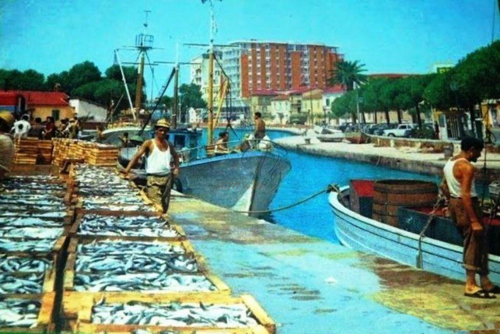 Mercato del Pesce Viareggio Anno 1962