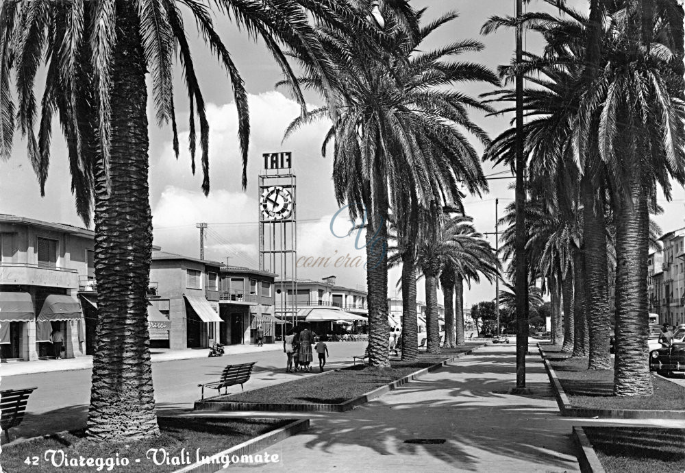 Via delle Palme Viareggio Anno 1964