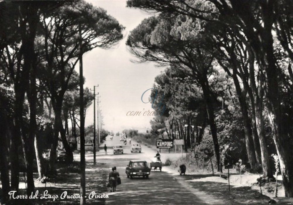 Tutti al mare Viareggio Anno 1967