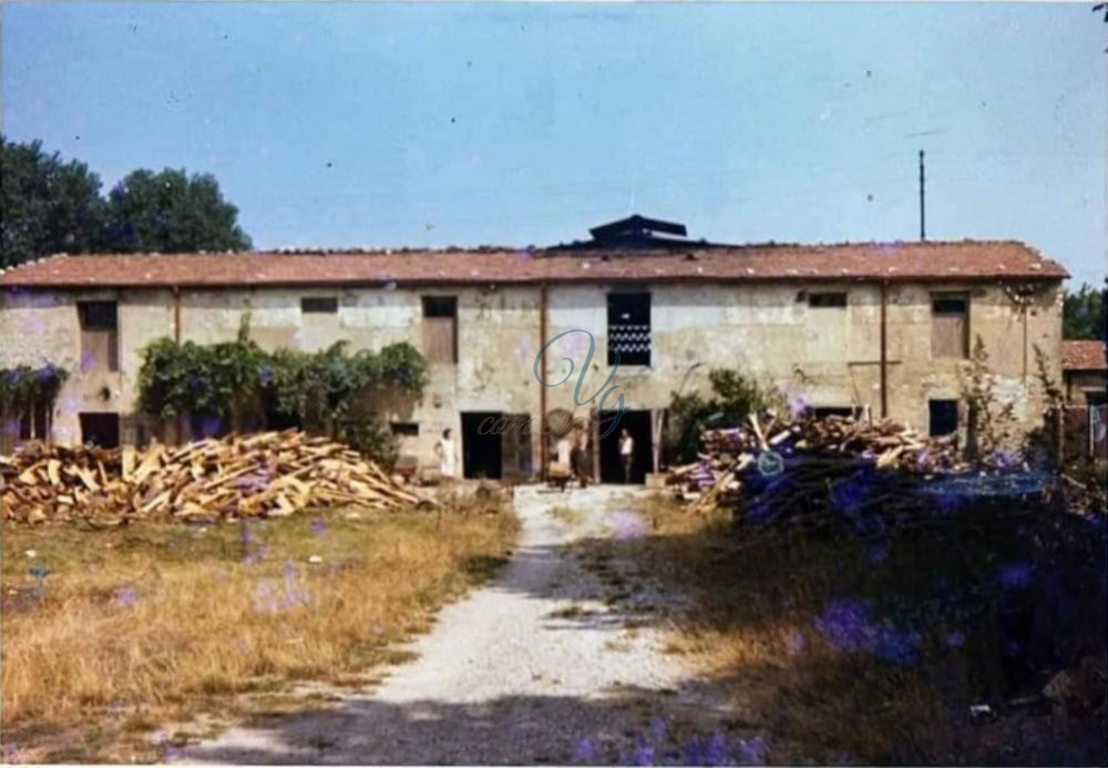 Fornace Viareggio Anno 1969