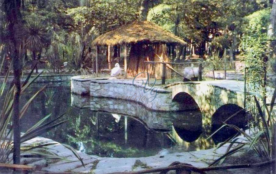 Laghetto dei Cigni Viareggio Anni '70