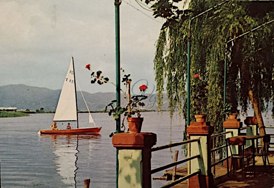 Scuola di Vela Viareggio Anni '70