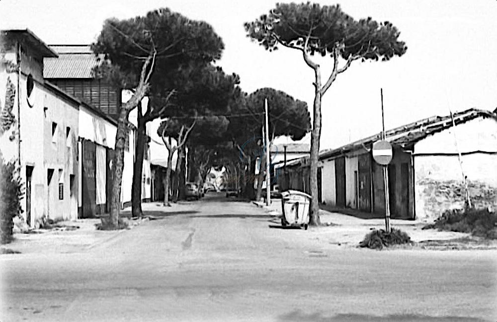 Via Savi Viareggio Anni '70