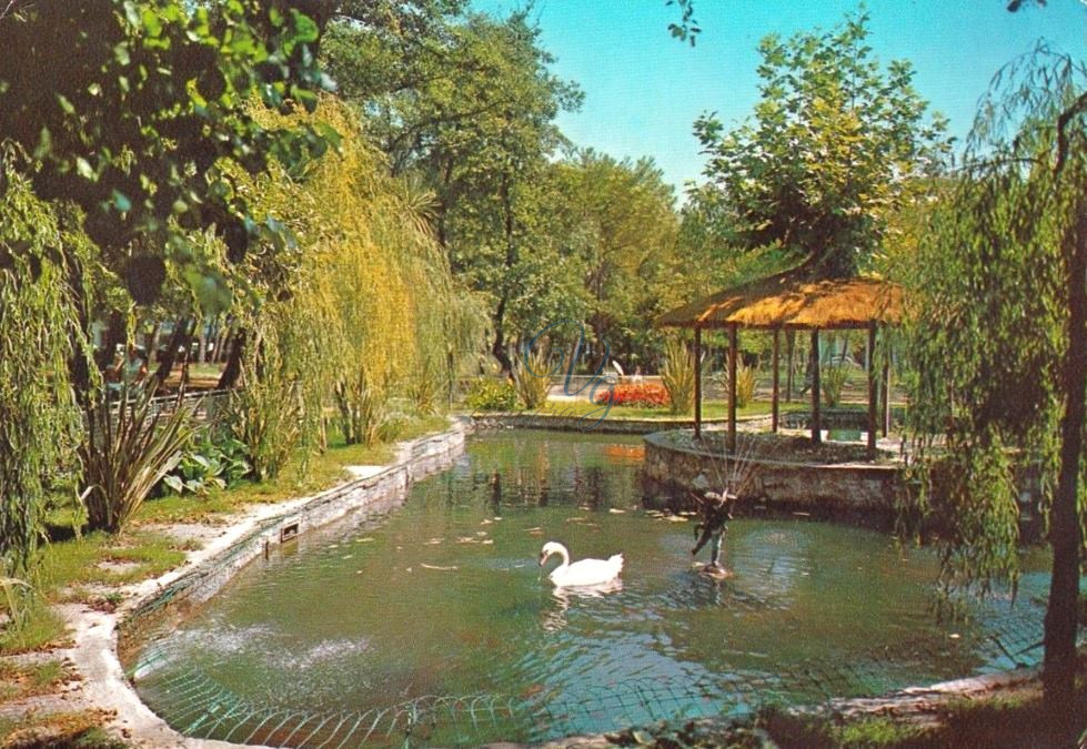 Laghetto dei Cigni Viareggio Anno 1971