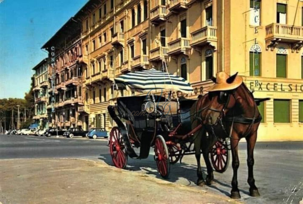 Cavallo e carrozza Viareggio Anno 1976