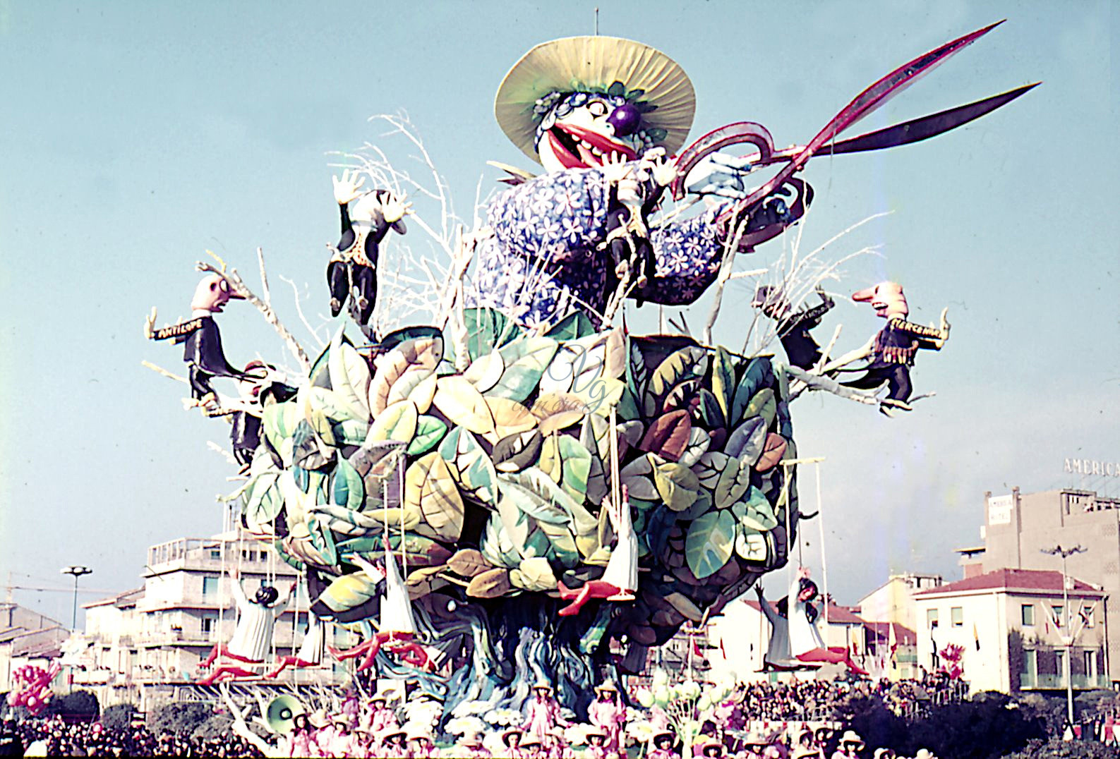 Rami secchi Viareggio Anno 1977