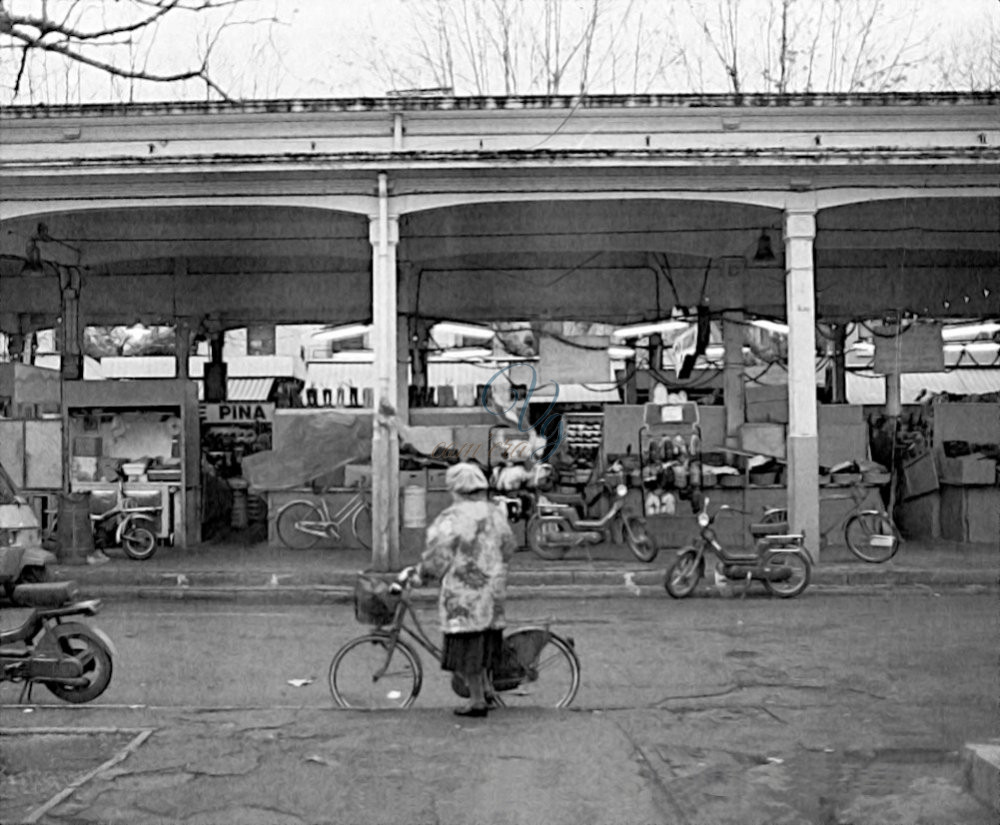 Banchi del mercato Viareggio Anni '80