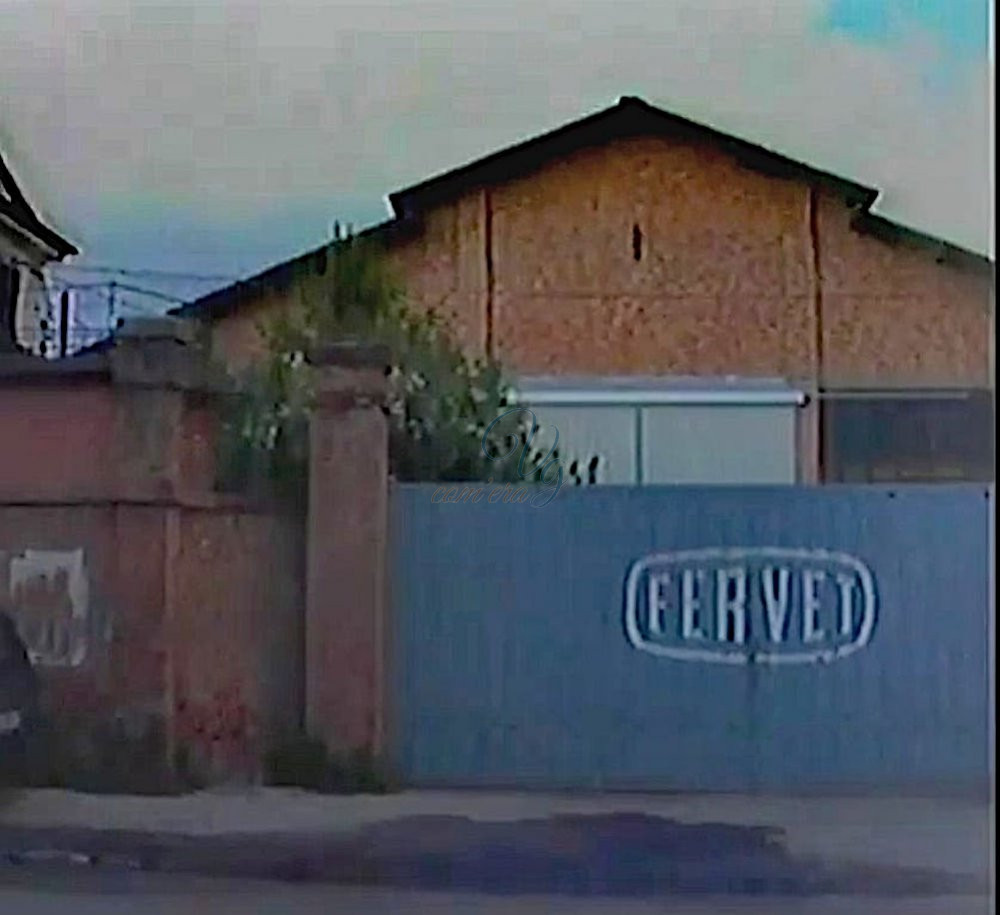 Fervet Viareggio Anni '80