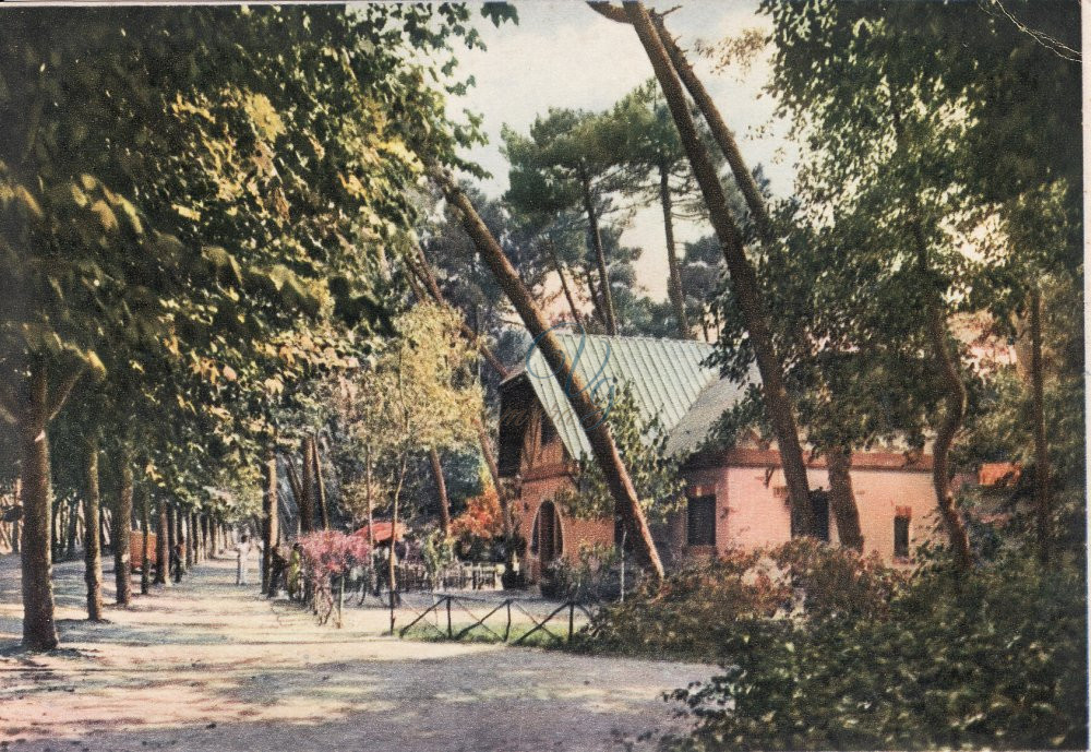 Gatto Nero Viareggio Anni '80