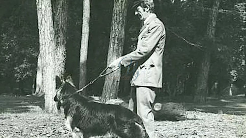 Matone Viareggio Anni '80