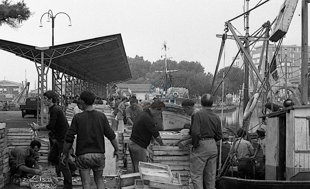 Pesce fresco Viareggio Anni '80