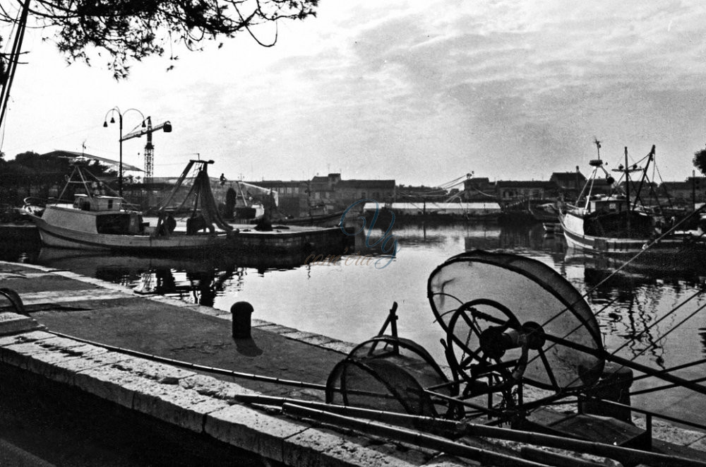 Reti per le Cee Viareggio Anno 1980