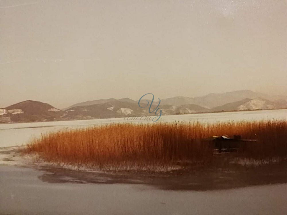 Lago ghiacciato Viareggio Anno 1985